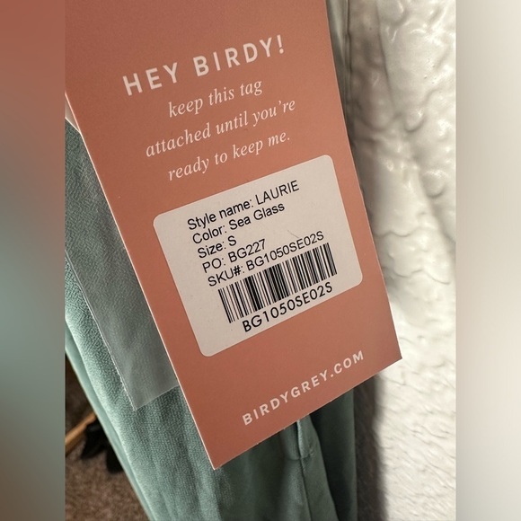 NWT Birdy Grey Laurie Empire Dress in Chiffon Sea Glass - Picture 4 of 6